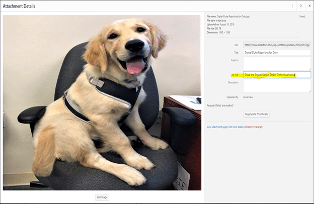 Duke the Digital Dog Sitting in an Office Chair at Direct Online Marketing
