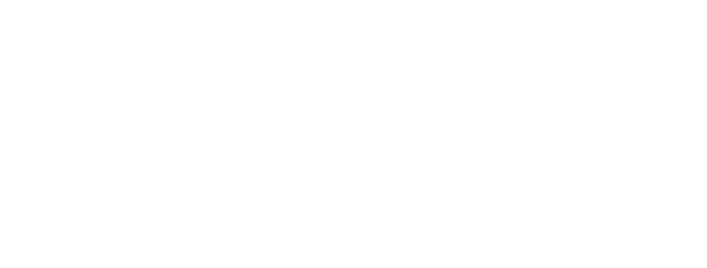 online marketing agency for Kashi