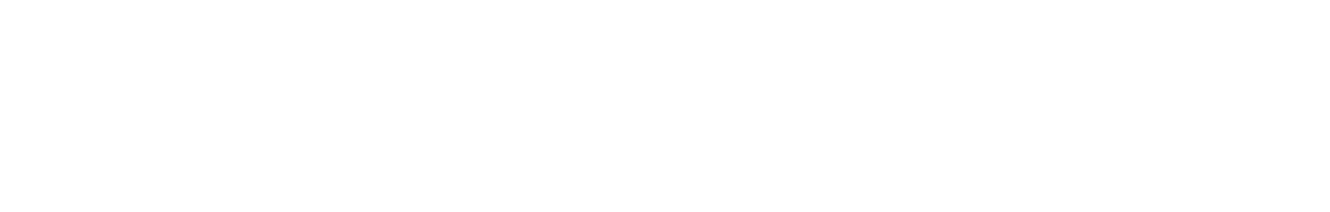 netsmart-white-logo