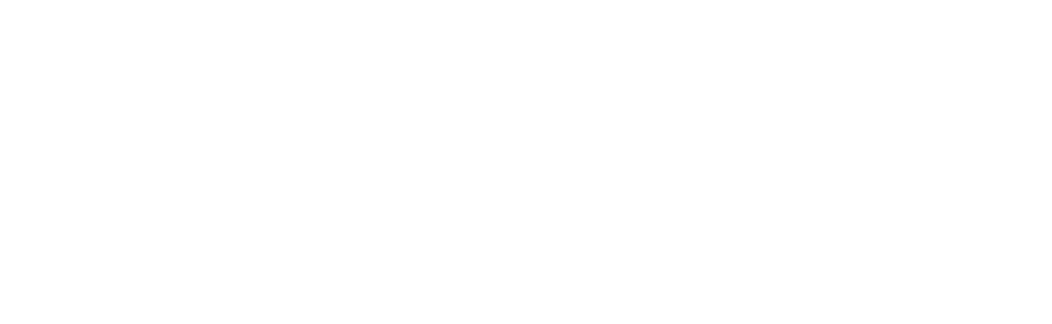 pfp-white-logo