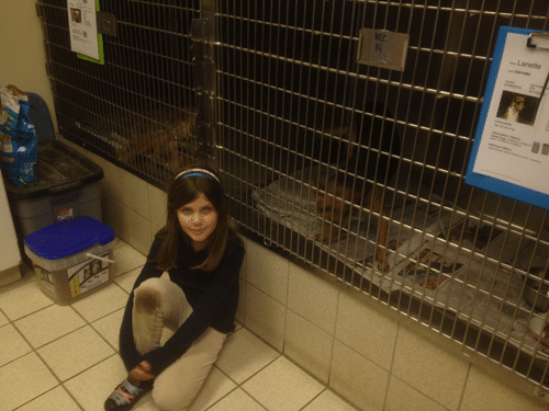 clare-charleston-pets2